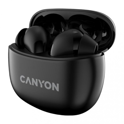 Canyon TWS-5 Black (CNS-TWS5B)