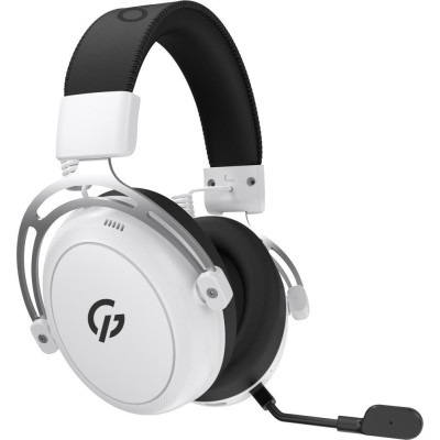 GamePro Asgard Skald (HSW160W)