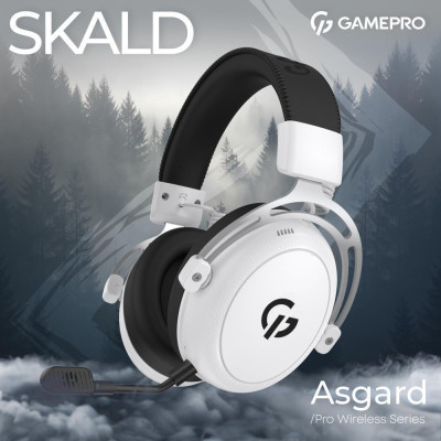 GamePro Asgard Skald (HSW160W)