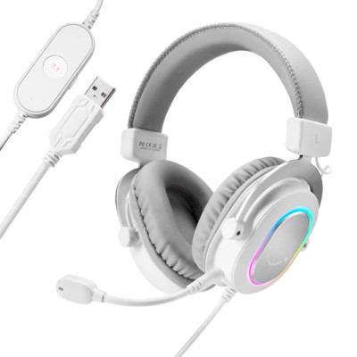 Fifine RGB H6