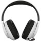 Canyon EGO GH-16 (CND-SGHS16W)