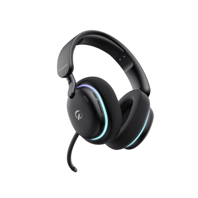 GamePro Asgard Bragi RGB Black (HSW250B)