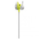 Bose SoundSport wireless Citron (SS/citron)