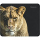 Defender Wild Animals 220x180x2mm 8 types (50803)