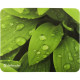 Defender Sticker (50405)
