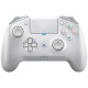 Razer Raiju Tournament Ed. - Mercury (RZ06-02610300-R3G1)