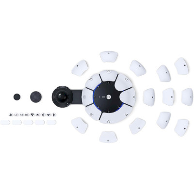 Sony Access controller (1000038412)
