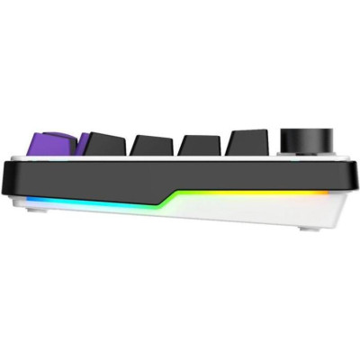 HATOR Hellyberry HK75 White-Violet