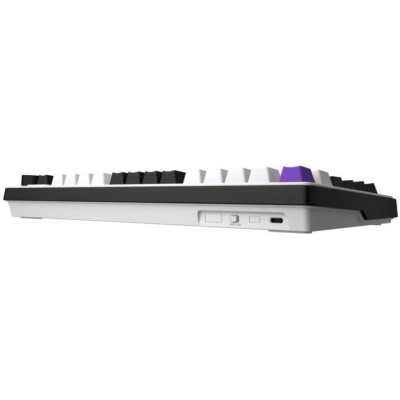 HATOR Hellyberry HK75 White-Violet