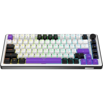 HATOR Hellyberry HK75 White-Violet