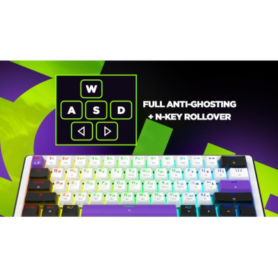 HATOR Hellyberry HK60 wireless White-Violet