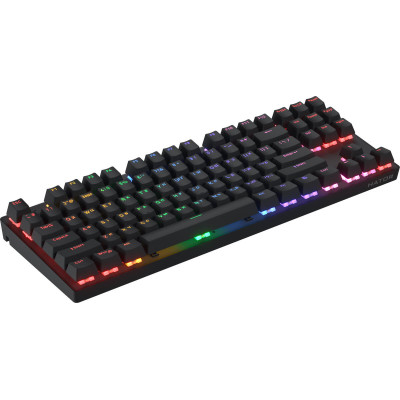 HATOR Icefall Mecha TKL wireless Rainbow Black (HTK287UA)