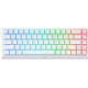 MCHOSE Ace 68 RGB TTC Dragon Lord Magetic Switch White Topographic (MC-ACE68-32)