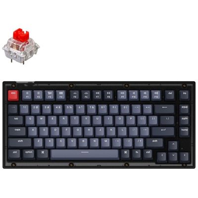 Keychron V1 84 Key QMK Gateron G PRO Red Hot-Swap RGB Frosted Black (V1A1_KEYCHRON)