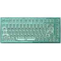 FL ESPORTS Q75 SAM Wireless Kailh clione Limacina (Q75SAM-4679) Green