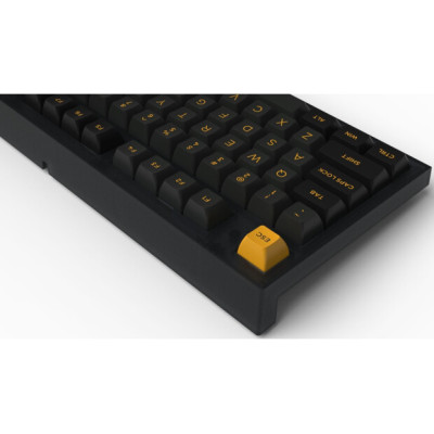 FL ESPORTS FL750 SAM Wireless Kailh MX Cool Mint (FL750SAM-4912) Black
