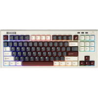 1stPlayer NEO87 Rome (NEO87-RM-WLD)