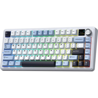 Aula F75 Max White