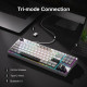 MageGee Light 87 RGB Blue Whale Switch Wireless Star White (6971969728431-UA)