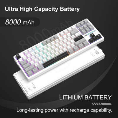 MageGee Light 87 RGB Blue Whale Switch Wireless Star White (6971969728431-UA)