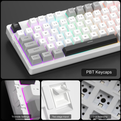 MageGee Light 87 RGB Blue Whale Switch Wireless Star White (6971969728431-UA)