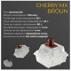 Ducky One 3 Mini RGB Cherry MX Brown (DKON2161ST-BUAPXPWWWSC1) White