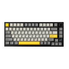 EPOMAKER Ajazz AK820 Pro RGB Mechanical Gift Switch Hot-Swap (AK820-PRO-B-G) Black