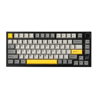 EPOMAKER Ajazz AK820 Pro RGB Mechanical Gift Switch Hot-Swap (AK820-PRO-B-G) Black