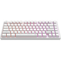 Dark Project ALU81 Terra Nostra ENG/UA White (DPKB_NOSTRA_81_ANSI_WHITE_UA)