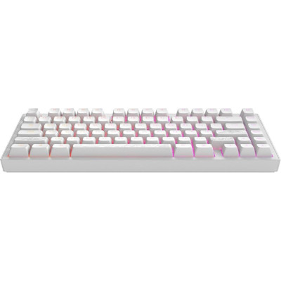 Dark Project ALU81 Terra Nostra ENG/UA White (DPKB_NOSTRA_81_ANSI_WHITE_UA)