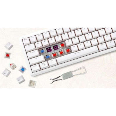 Motospeed SK66 Gateron Blue Hot Swap White (mtsk66wmb)