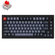 Keychron V1 84 Key QMK Gateron G PRO Red Hot-Swap RGB Knob Carbon Black (V1D1_KEYCHRON)