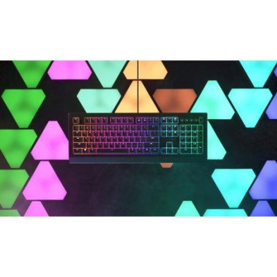 Razer Cynosa V2 (RZ03-03400700-R3R1)