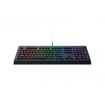 Razer Cynosa V2 (RZ03-03400700-R3R1)