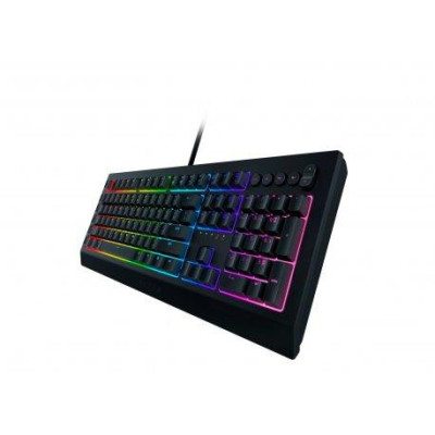 Razer Cynosa V2 (RZ03-03400700-R3R1)