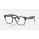 Ray-Ban Meta Wayfarer Gen2 Standard Shiny Transparent Grey Frame/Clear Sapphire Lenses (RW4012 6840MF 50-22)