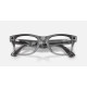 Ray-Ban Meta Wayfarer Gen2 Standard Shiny Transparent Grey Frame/Clear Sapphire Lenses (RW4012 6840MF 50-22)
