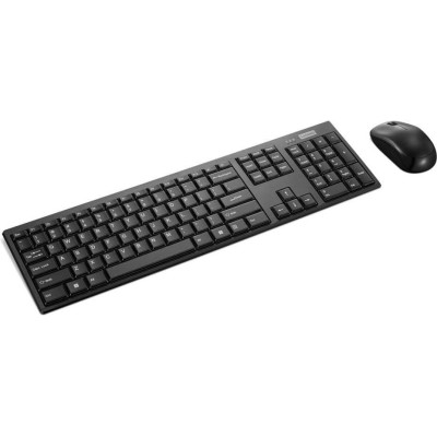 Lenovo 100 USB-A Wireless Combo Keyboard and Mouse (GX31Q28916)