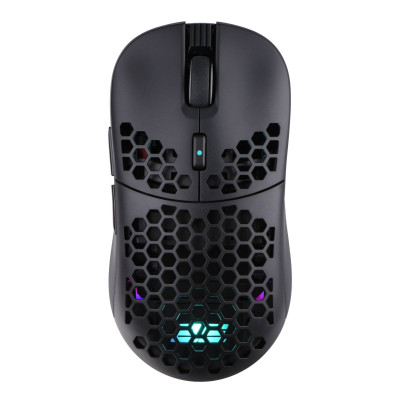 2E Gaming HyperDrive Pro RGB Wireless Black (2E-MGHDPR-WL-BK)
