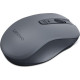 Lenovo WL310 Bluetooth Silent Mouse Grey (GY51Q65621)