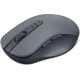 Lenovo WL310 Bluetooth Silent Mouse Grey (GY51Q65621)