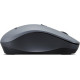 Lenovo WL310 Bluetooth Silent Mouse Grey (GY51Q65621)
