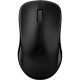 RAPOO 1620 Wireless Optical Mouse