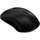 RAPOO 1620 Wireless Optical Mouse
