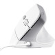 Trust Bayo 2 Ergonomic White (25397)