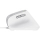 Trust Bayo 2 Ergonomic White (25397)