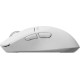 Pulsar X3 CrazyLight Mini White (PX3RCL102)