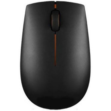 Lenovo 300 Compact (GX30K79401)