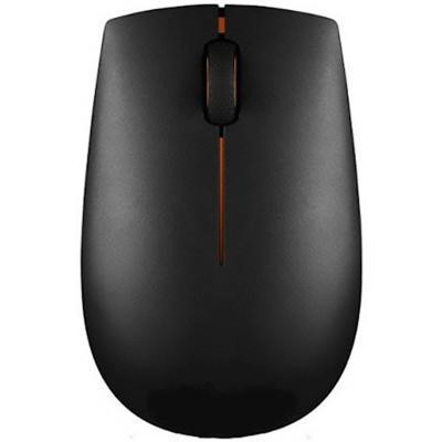 Lenovo 300 Compact (GX30K79401)