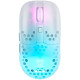 Xtrfy MZ1 RGB WL, White (MZ1W-RGB-WHITE)
